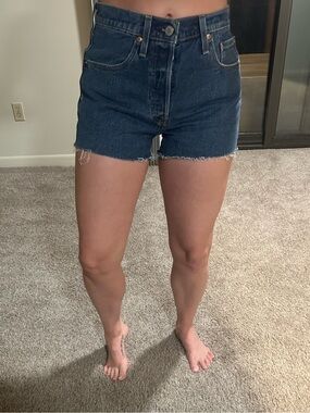 Two pairs!! High-Rise Dark Blue and light blue Denim Cutoff Shorts